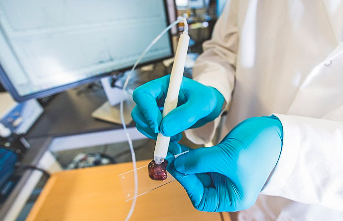 a technician testing a sample