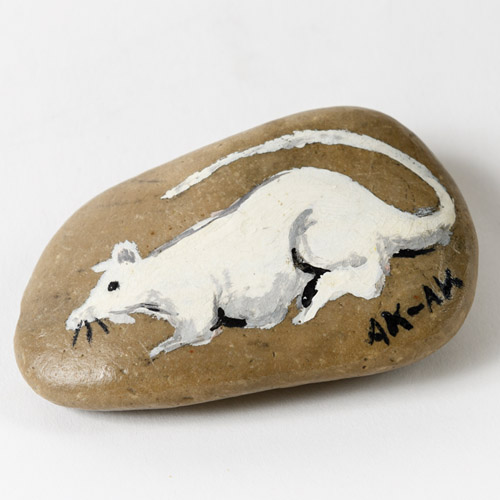 painted rat on a rock