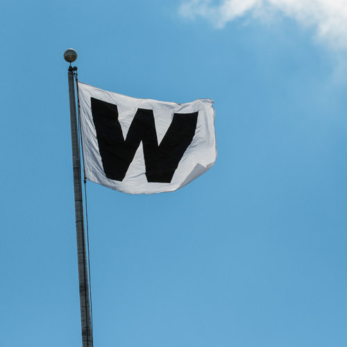 flag on pole with a W