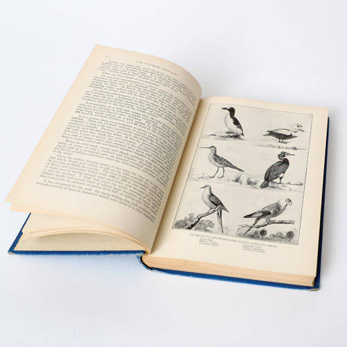 An open book with a page of pictures of birds