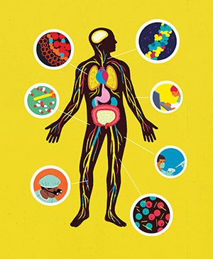 an illustration of the human body and its many systems