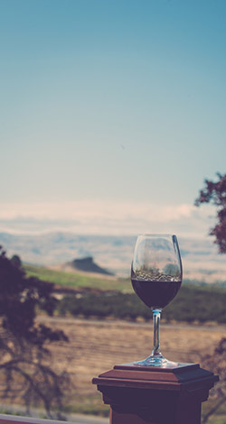 a glass of wine with wine country in the background