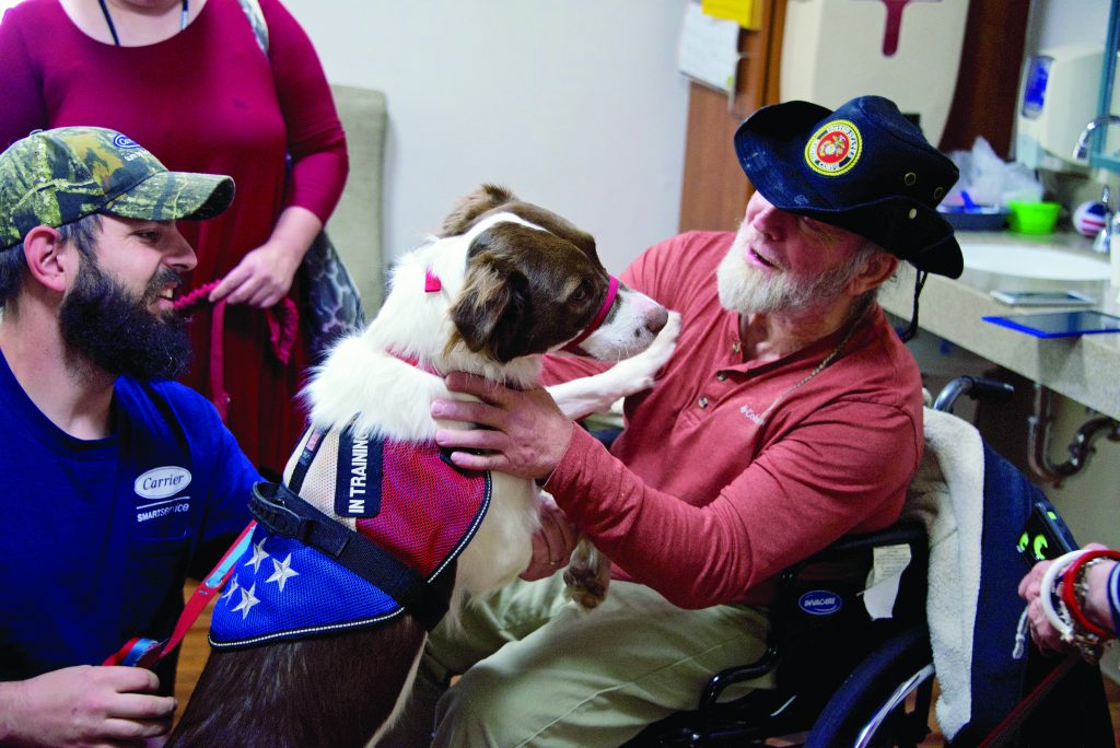 a veteran pets a dog