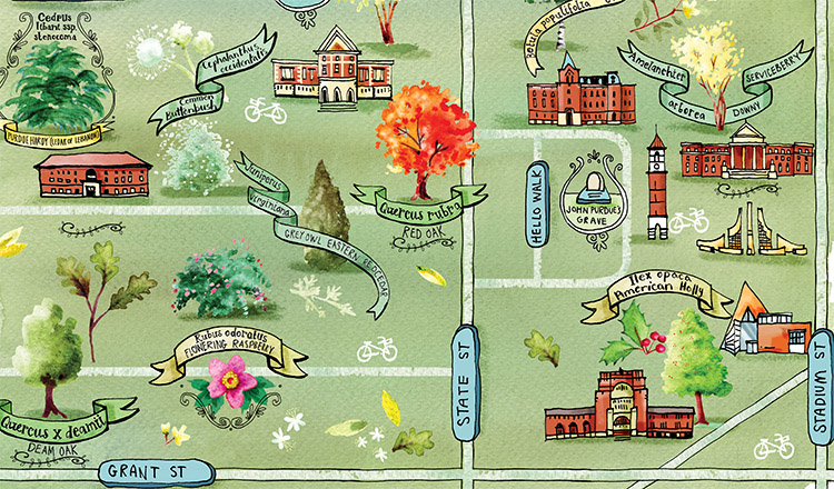 an illustrated map of plants on Purdue's campus