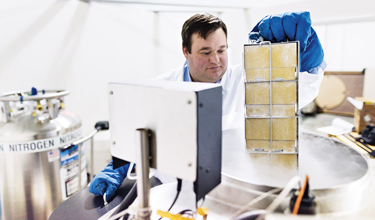 A scientist inspects his equipment and experiment